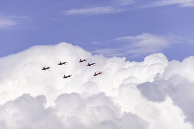 Low angle view of birds flying against sky
