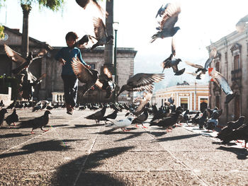 View of people walking on street