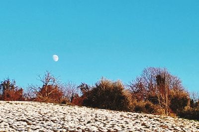 Scenic view of snow covered land against clear blue sky