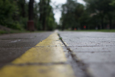 Surface level of road by trees in city