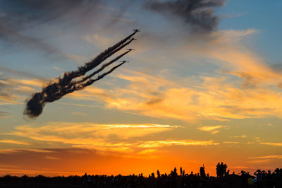 Silhouette plants against dramatic sky during sunset