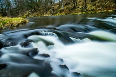 River flowing through forest