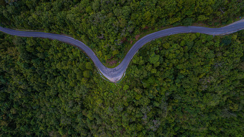 High angle view of road amidst trees in forest