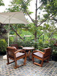 Empty chairs and table against trees in yard