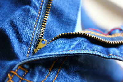 Detail shot of blue head