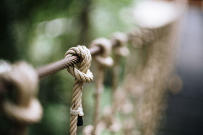 Close-up of rope tied on wooden post