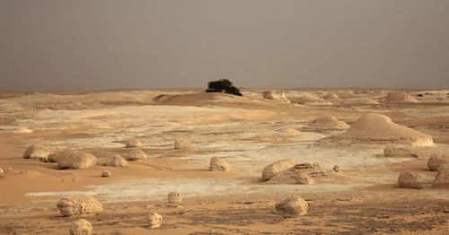 Scenic view of desert against clear sky