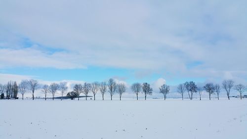 Trees on snow covered field against sky