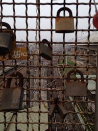 Close-up of chainlink fence