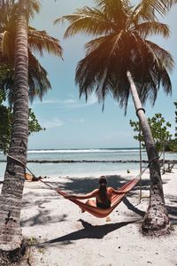 Scenic view of palm trees at beach against sky