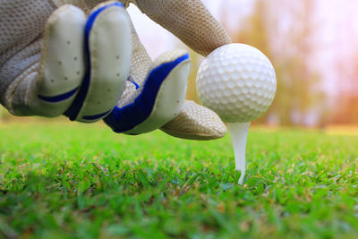 Close-up of ball on golf course