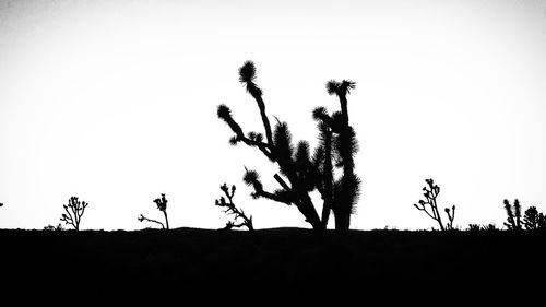 Low angle view of silhouette tree against clear sky