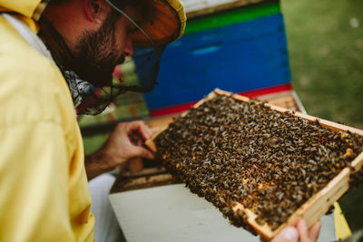 Beekeeper working over beehive at farm