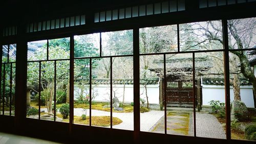 Trees in greenhouse against sky seen through window