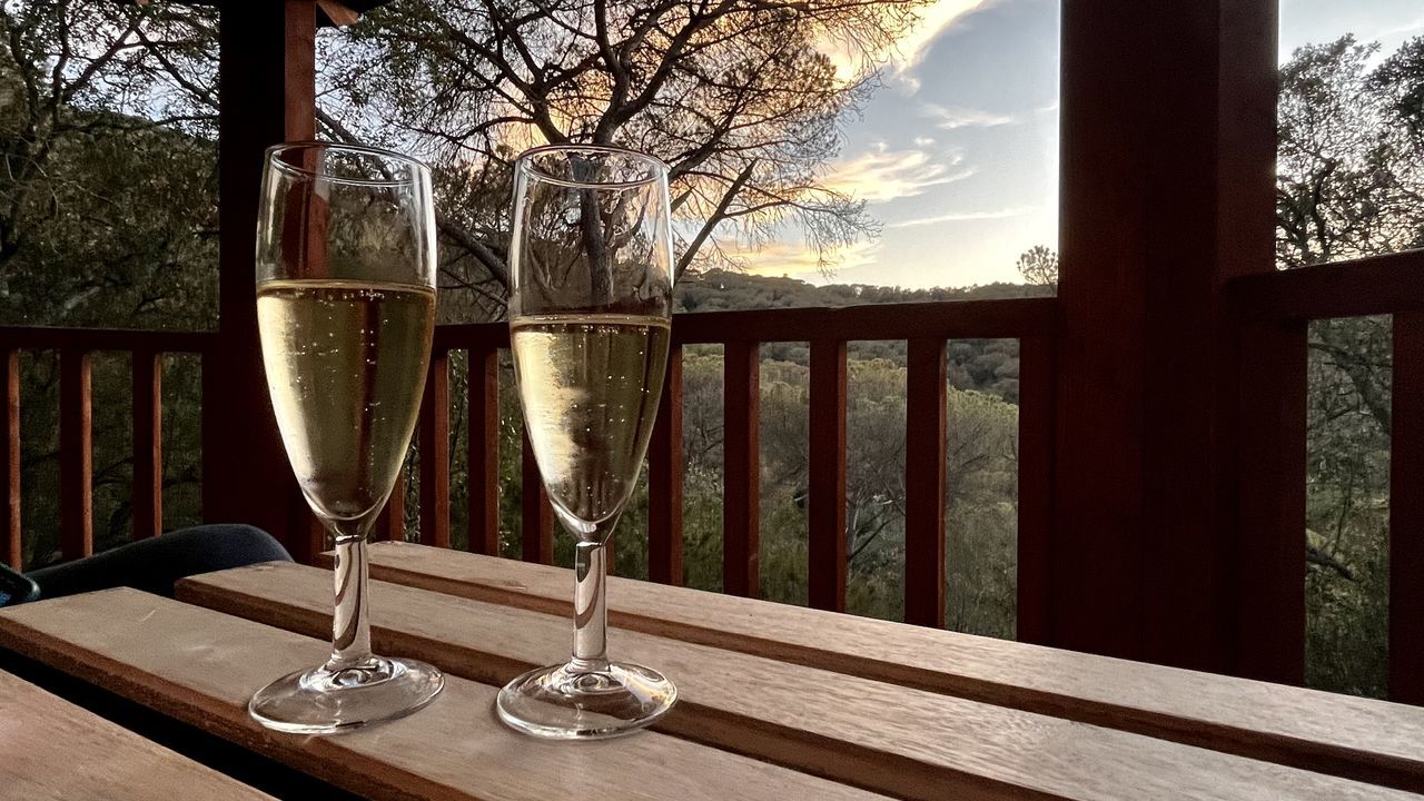 glass, tree, drink, refreshment, food and drink, alcohol, nature, household equipment, table, wine glass, drinking glass, plant, sky, wine, railing, no people, wood, outdoors, champagne flute, day, architecture, window, water, wealth, luxury, champagne stemware, sunset, sunlight, champagne, tableware, transparent