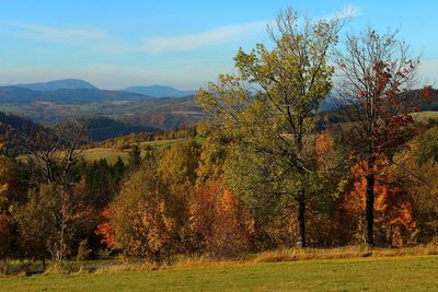 Trees on field against sky during autumn