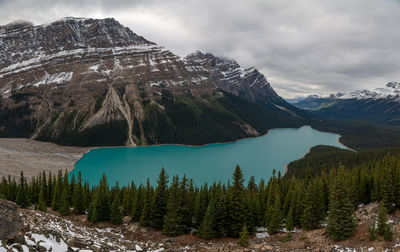 Peyto lake in banff national park, canada.