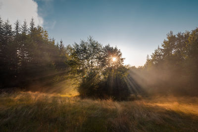 nature