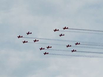 Low angle view of birds flying against sky