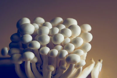 Close-up of candies against white background