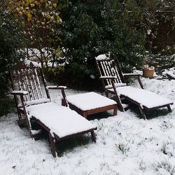 Empty bench in park