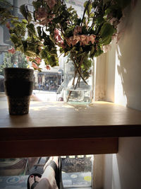 plant