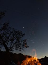 Low angle view of silhouette trees against sky at night