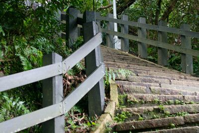 Steps leading to gate