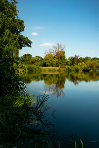 Scenic view of lake by trees against blue sky