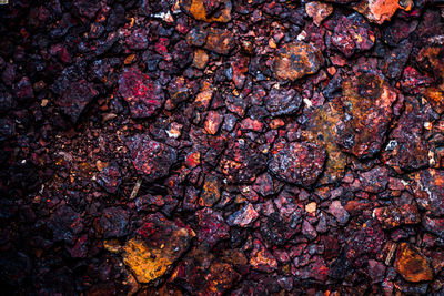 Full frame shot of red berries on rock