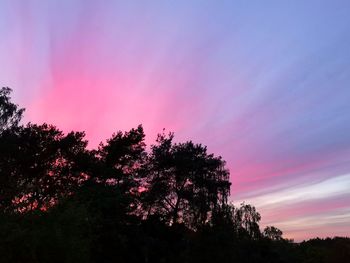 Low angle view of silhouette trees against sky during sunset