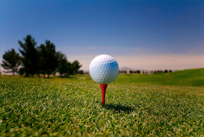 Close-up of golf ball on grass