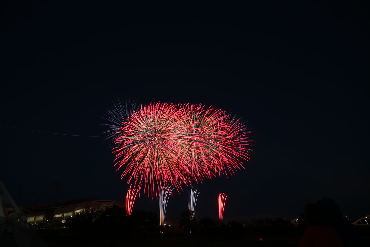 FIREWORK DISPLAY AT NIGHT