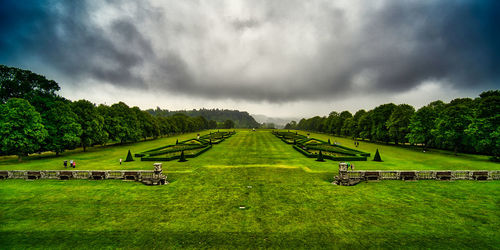 Scenic view of green landscape against sky