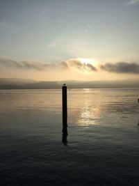 Wooden posts in sea against sky during sunset