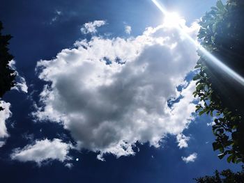 Low angle view of trees against blue sky