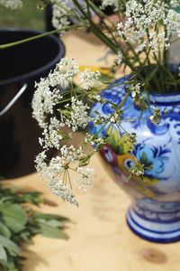 Close-up of white flowering plant on table