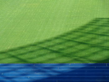 Full frame shot of green plant