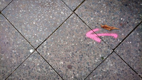 High angle view of dry leaf on footpath