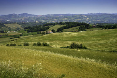 Scenic view of agricultural landscape against sky