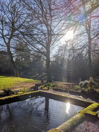 Canal amidst trees in park against sky