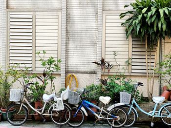 Close-up of windows with bicycle