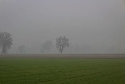 Scenic view of field against sky during foggy weather