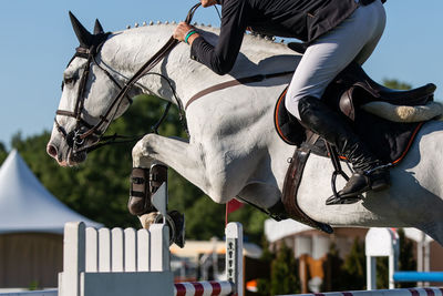 Man riding horse