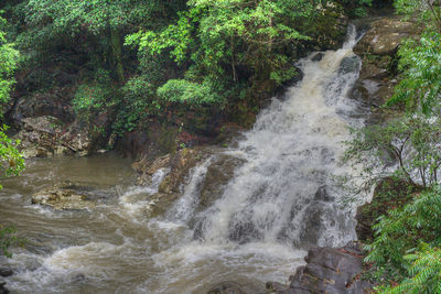 Scenic view of waterfall in forest