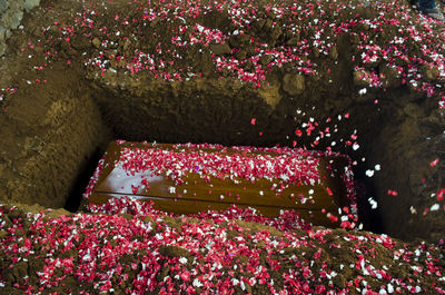 High angle view of flowers on coffin at cemetery