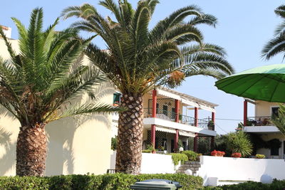 Palm trees by swimming pool against sky