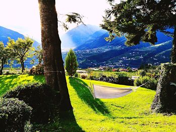 Scenic view of field and mountains against sky