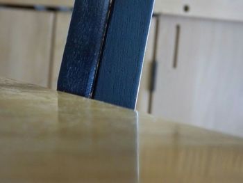 Close-up of plant against blurred background