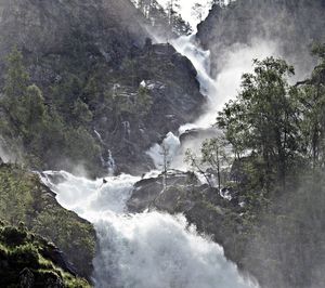 Scenic view of waterfall in forest